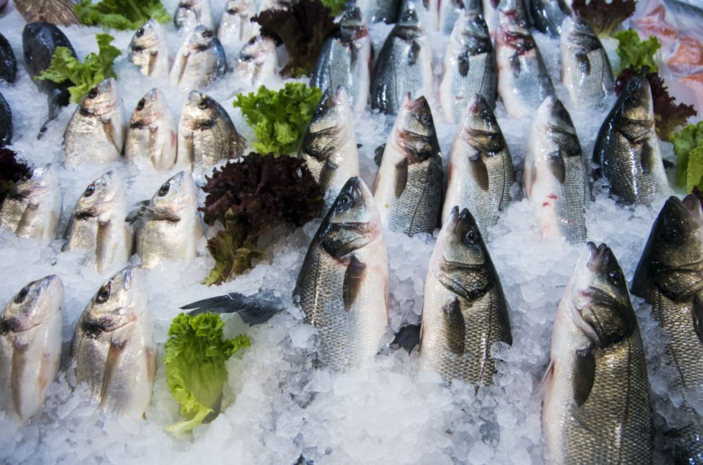 Raw fish market. Seafood healthy fish market.